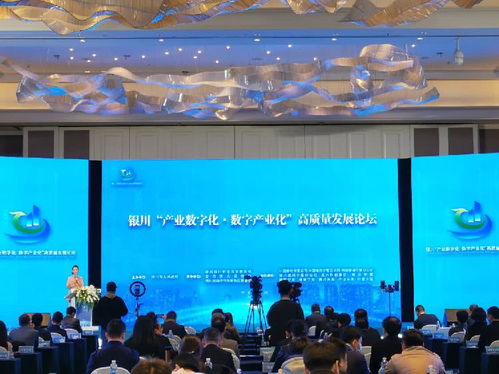 宁夏银川 围绕 产业数字化 数字产业化 寻求发展新机遇