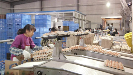 第七批农业产业化国家重点龙头企业名单公示 黄陂上榜一家