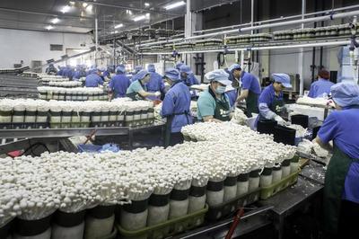 韶关曲江:奋进新时代 谱写新篇章