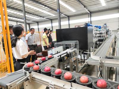 烟台市农业农村局 产业化 栖霞推进苹果全产业链服务整合