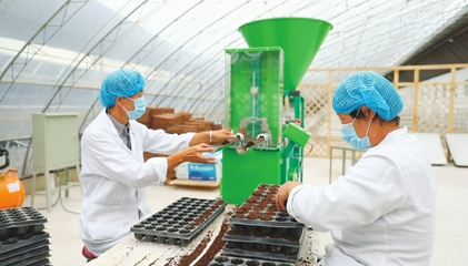 临猗县以产业化推进农业高质量发展