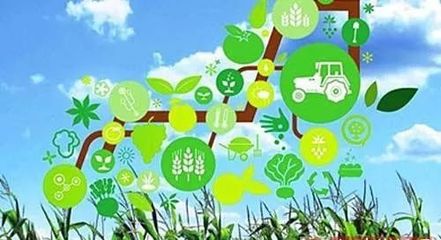 他的羊场是农业部认定的无公害畜产品生产基地,一年收益300万!