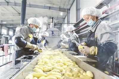 十师北屯市加快推进农业产业化发展