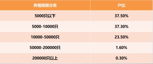 刘方波 中国蛋鸡产业化发展思考与实践