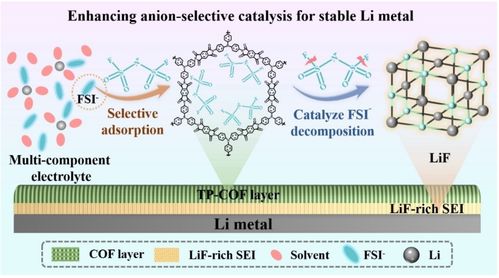 研究提出高比能锂金属电池增强催化和电解液新思路