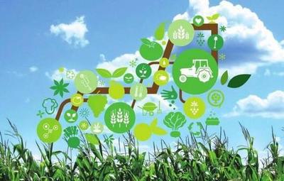 全国农产品加工产业发展联盟聚焦农业数字化,助力“深农会”