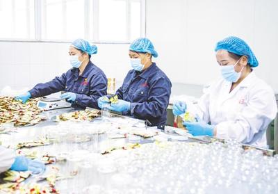 罗田做大做强中药材产业