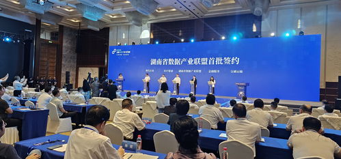 湖南数据产业集团为高质量发展增添新动能 央广网