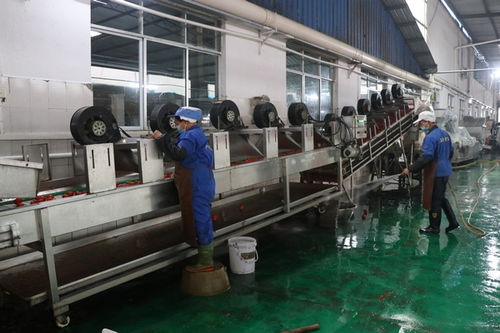 麻江 产业大招商为高质量发展聚势赋能