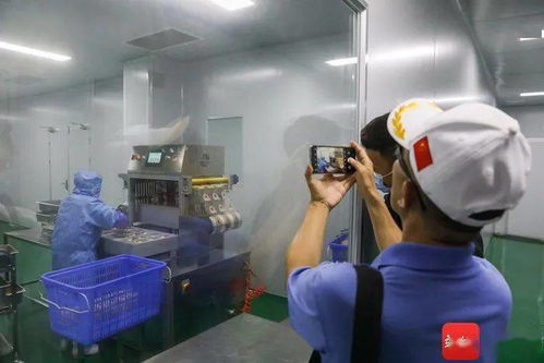 万 有引力 全国媒体团走访万宁 围观人间 仙果 的华丽 转身