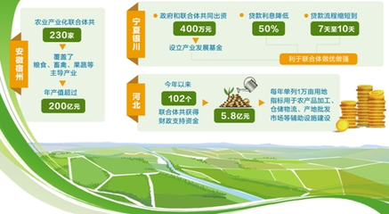 农业产业化联合体什么样