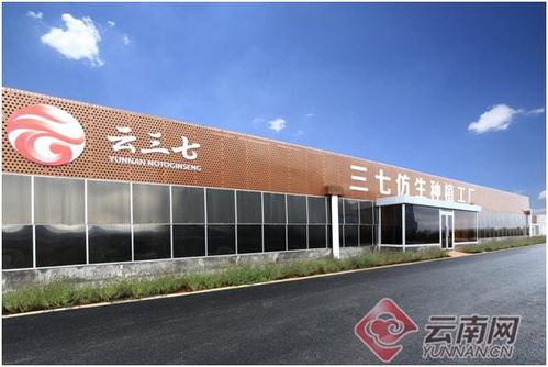 云南康旅集团以“链”为翼，助力三七产业实现高质量发展