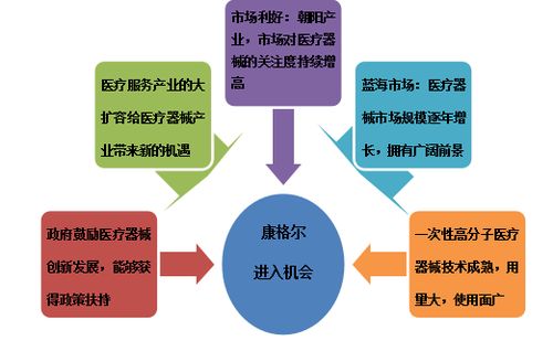 高分子医疗器械产业化发展项目商业计划书