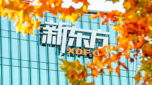 新东方再因辞退拒绝调岗员工败诉，产业化发展下的人力资源管理反思