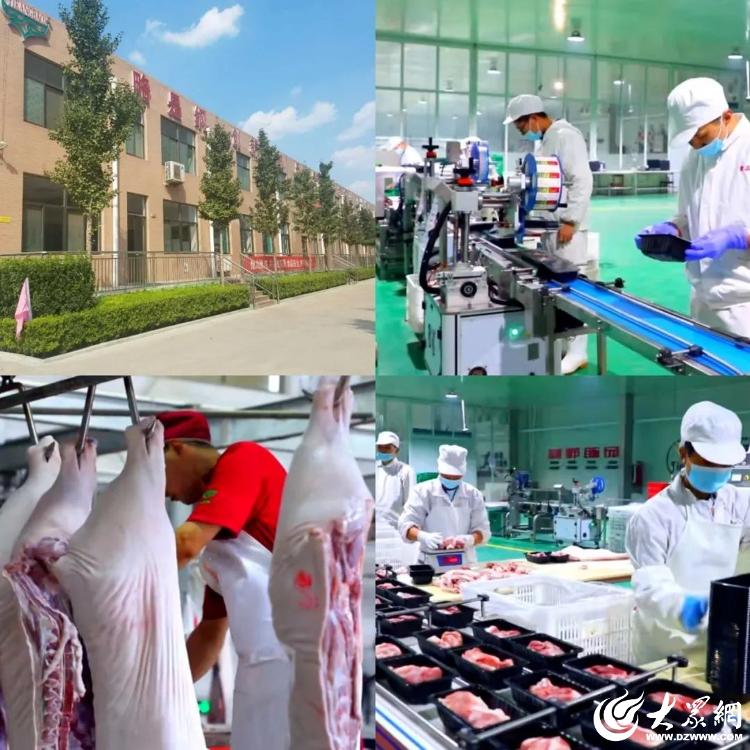 潍坊市潍城区企业入选国家重点龙头企业，产业化发展迈上新台阶